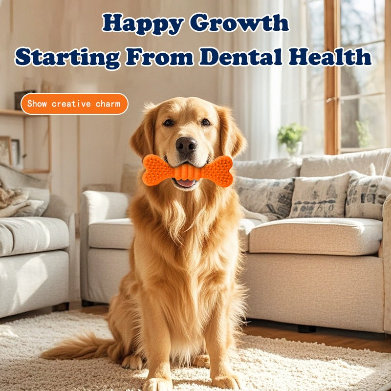 2-in-1 Dental Chew & Treat Toy